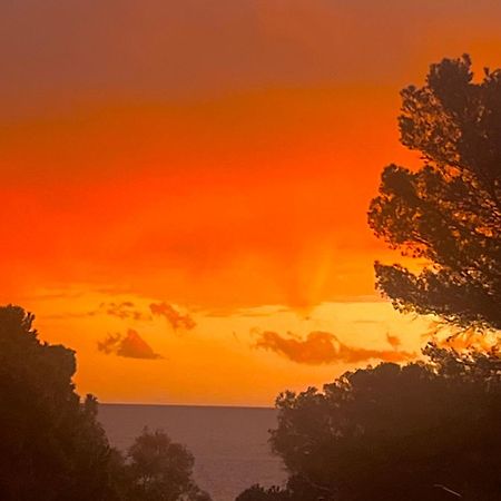 Maison Classee Sur Le Golfe De St Tropez 圣特罗佩 外观 照片