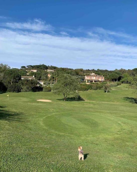 Maison Classee Sur Le Golfe De St Tropez 圣特罗佩 外观 照片