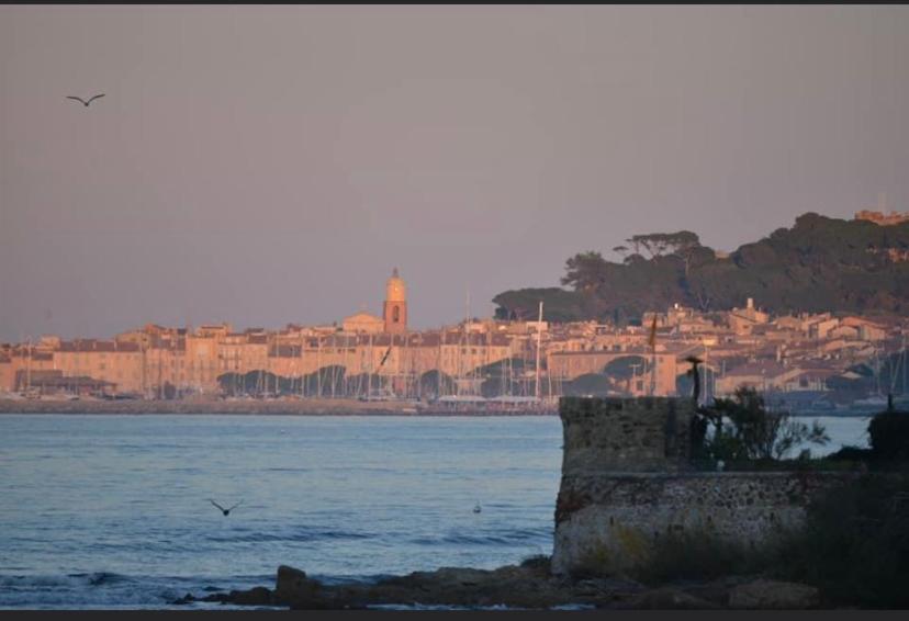 Maison Classee Sur Le Golfe De St Tropez 圣特罗佩 外观 照片